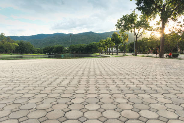 Best Decorative Driveway Pavers  in East Prairie, MO